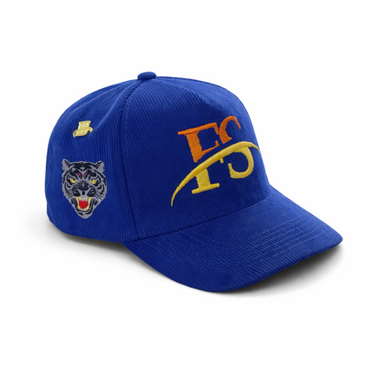 FS Royal Blue Snapback